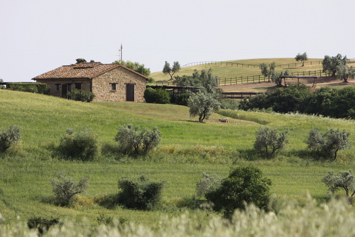 Toscane 09 - 089 - Paysages